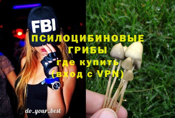 mdpv Гусев