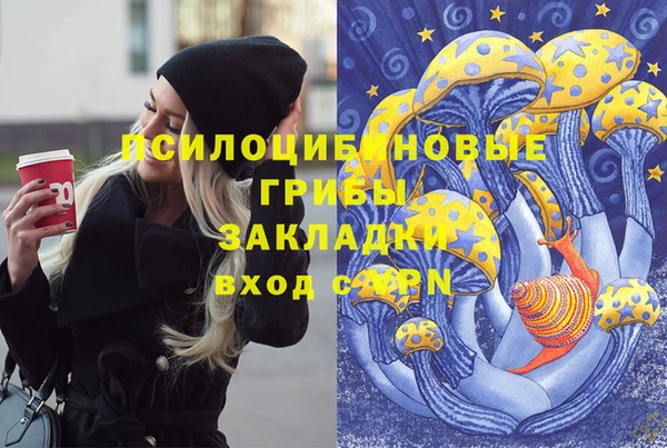 первитин Гусиноозёрск