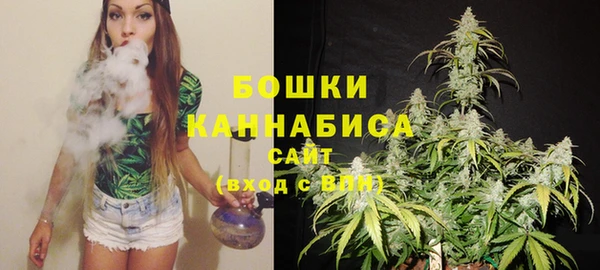 a pvp Пересвет