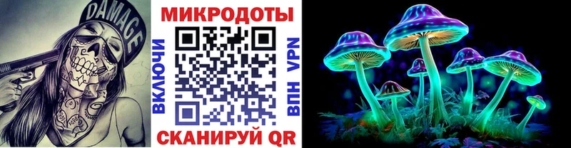 Галлюциногенные грибы Psilocybine cubensis Коломна